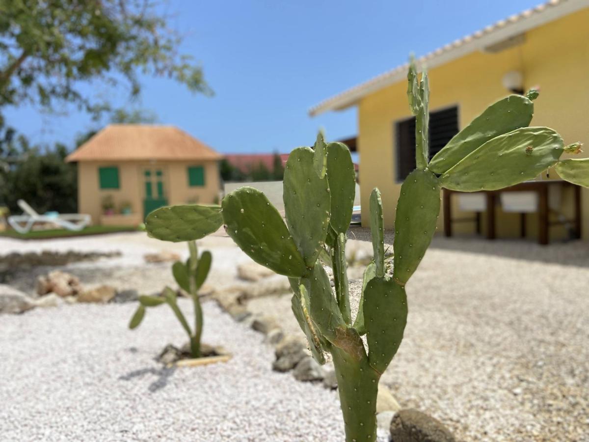 Huis "Enjoy" Met Eigen Zwembad En Grote Tuin Villa Grote Berg Exteriör bild